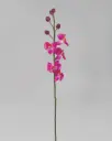 [9631] Orchid (Alternative 1)