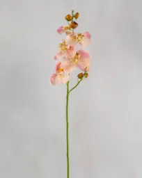 [9130-10] Orchid (Alternative 9)