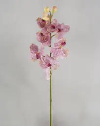 [9128-2] Orchid (Alternative 2)