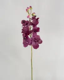 [9128-4] Orchid (Alternative 3)