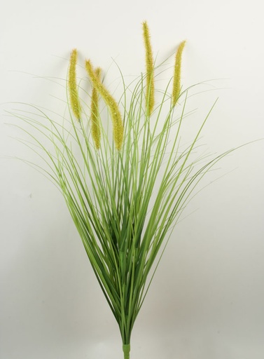 [2377] ornamental grass 