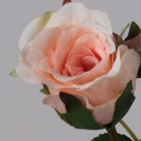 [7006] Rose (Alternative 3)