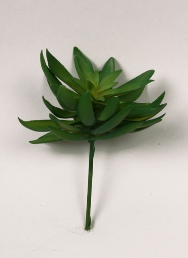 [4093] succulent 