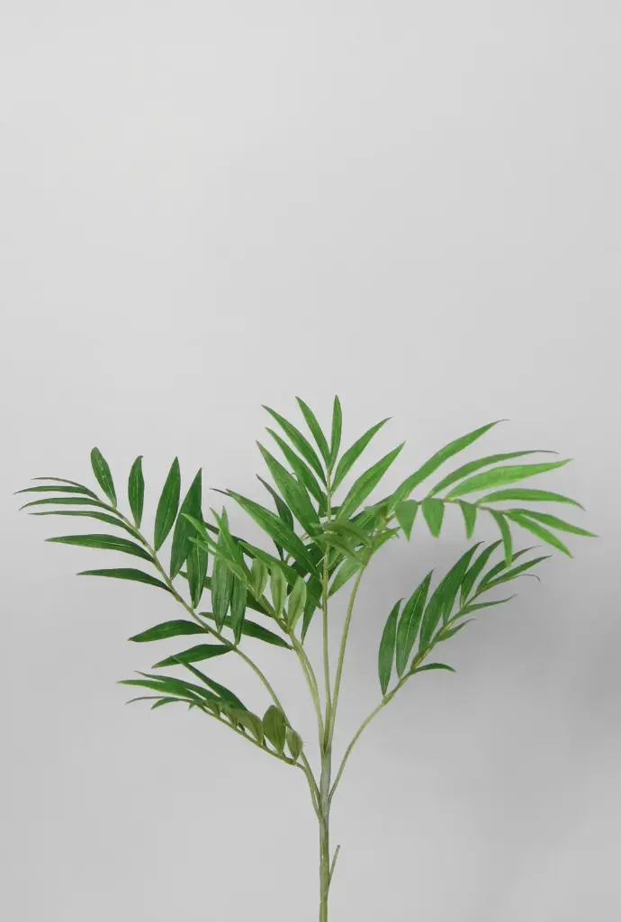 Palm Spray 