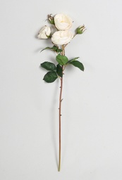 [4452] Rose (Alternative 1)