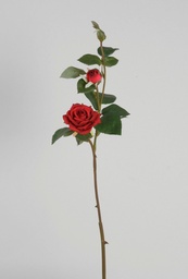 [7105] Rose (Alternative 1)