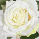 [7106] Rose (Alternative 2)