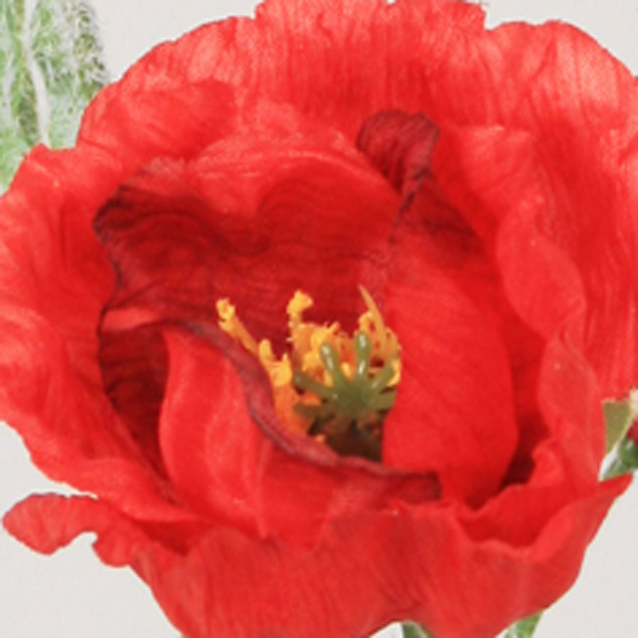 Poppy red 