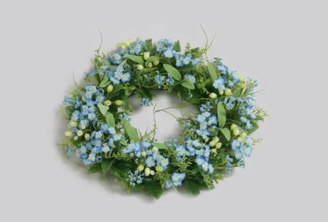 Forget me not 
