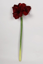 [6928] Amaryllis (Alternative 1)
