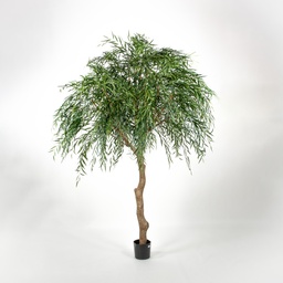 [1209-350] Weeping willow (Alternative 2)