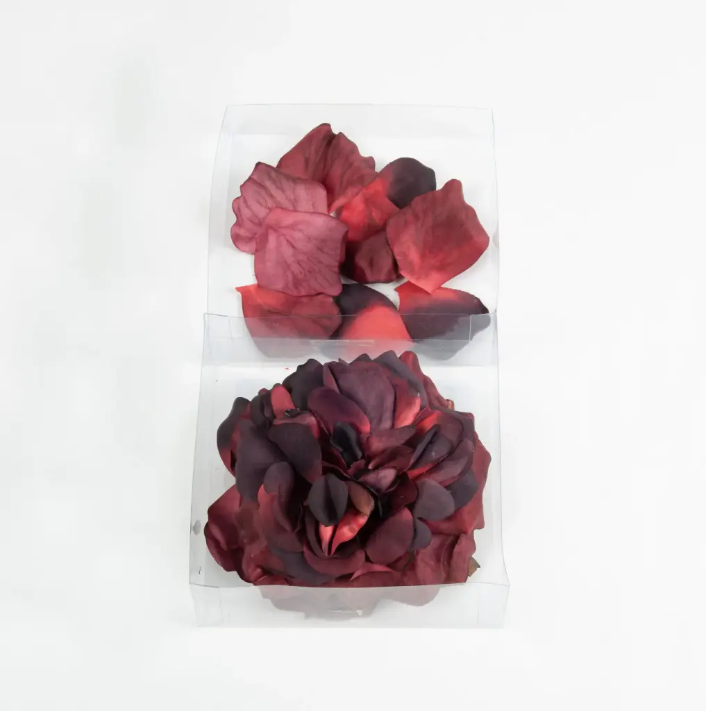 Rose and Rose petals burgundy