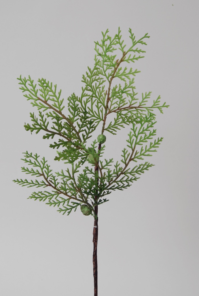 Cedar pick 