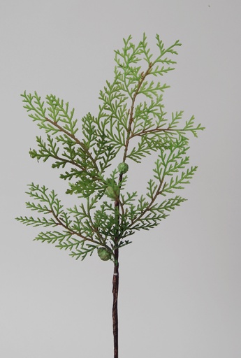 Cedar pick 