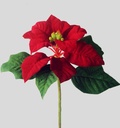 [6715] Poinsettia (Alternative 4)