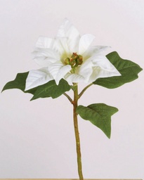[6713-1] Poinsettia (Alternative 5)