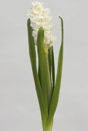 [9300] Hyacint (Alternative 1)