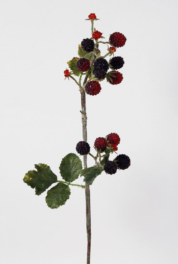 Raspberry 