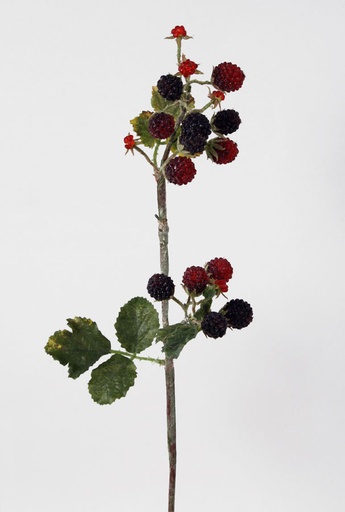 Raspberry 