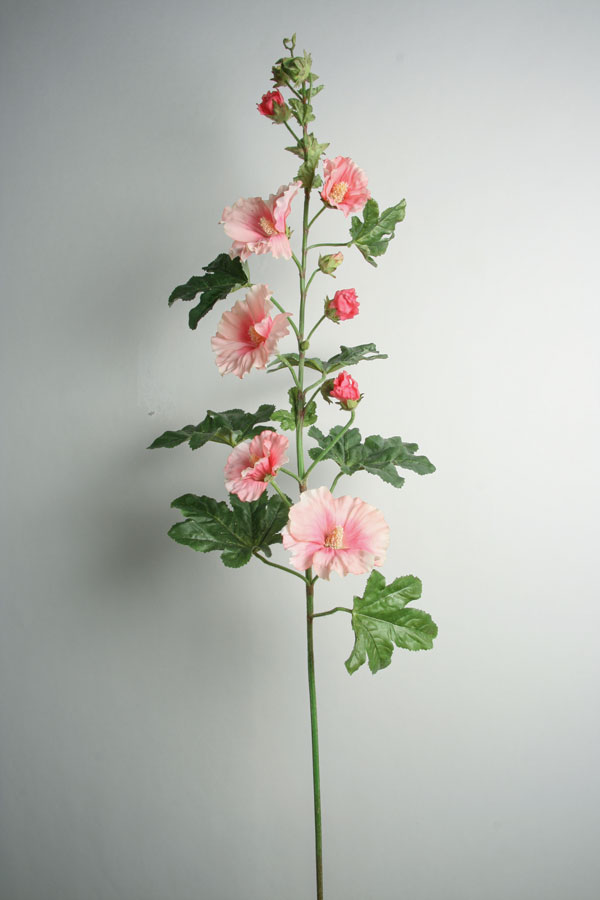 Hollyhock pink 