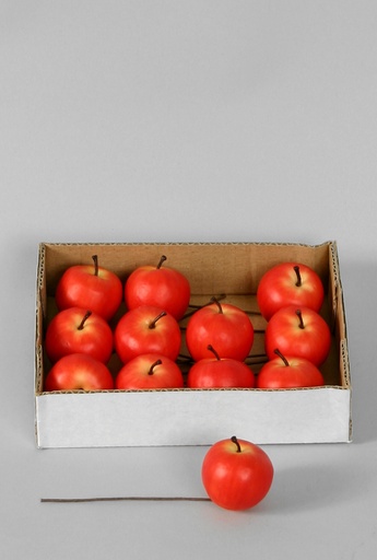 [6341] 12 small apple in a box 