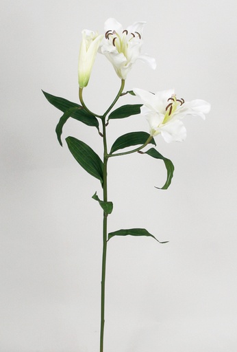 [6936] lily spray 