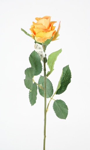 [7032] rose yellow 