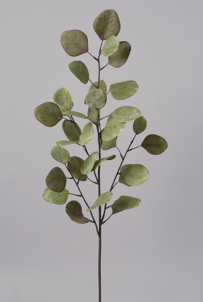 Eucalyptus green  