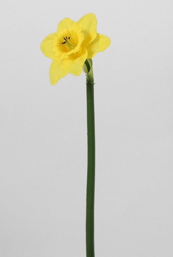 [7050] daffodil single spray 