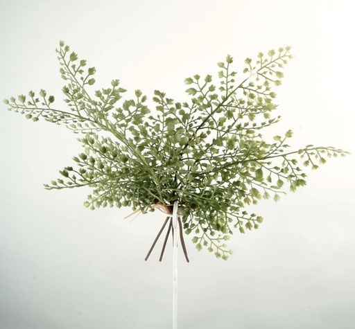 [7274] maiden hair bundle 