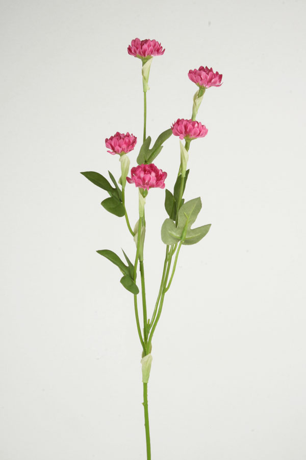 clower spray 