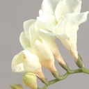 [9341] freezia (Alternative 2)