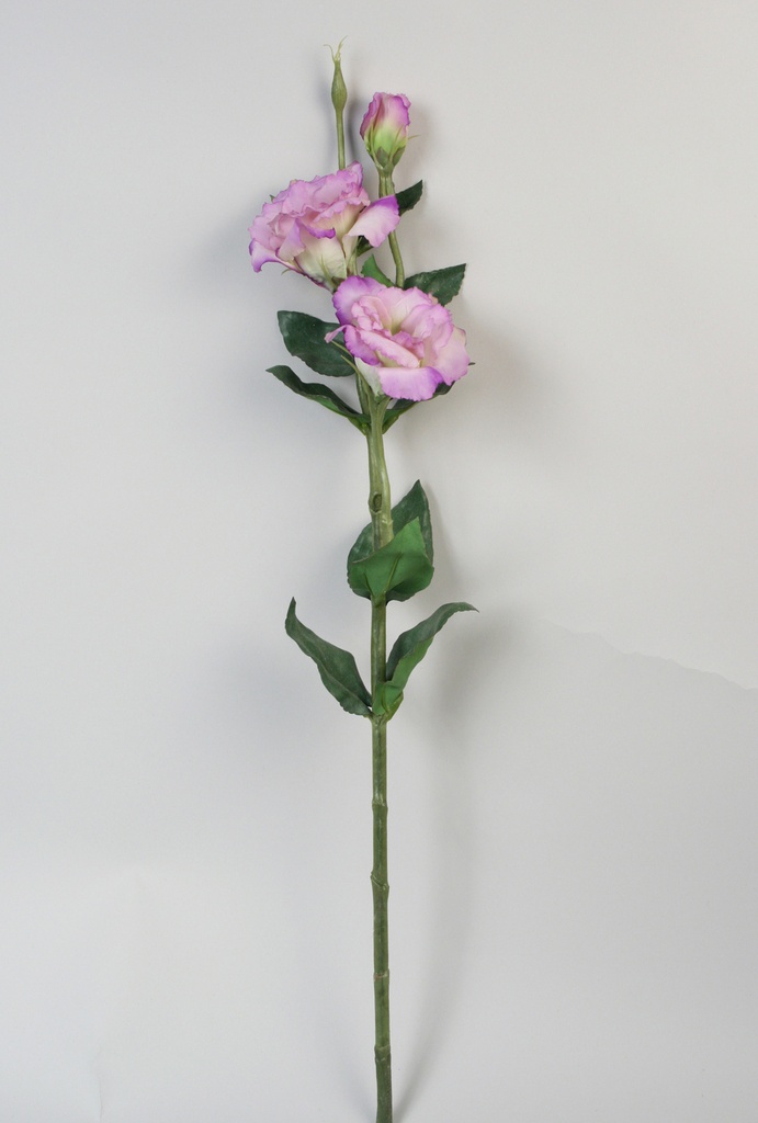 lisianthus