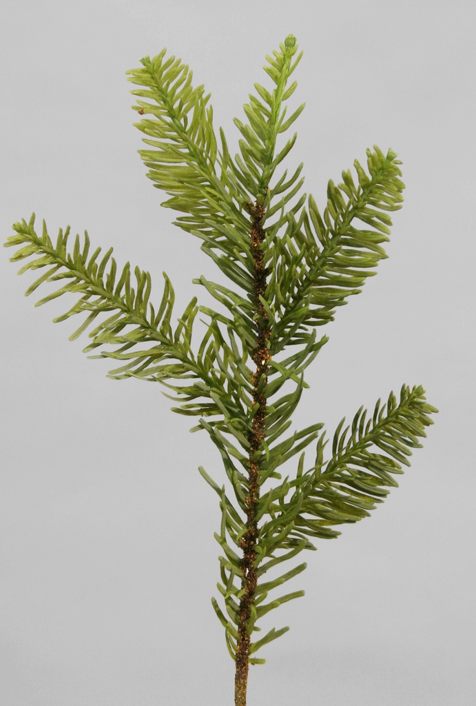Fir spray 