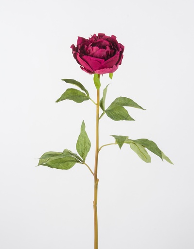 [9453] peony red 