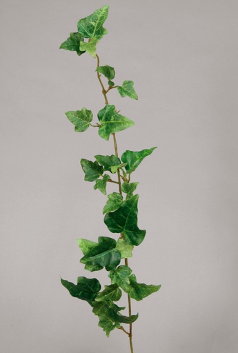 [9548] Ivy vine 
