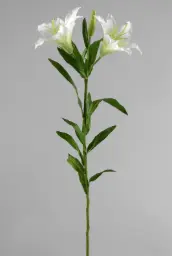 [9917] Lily (Alternative 4)