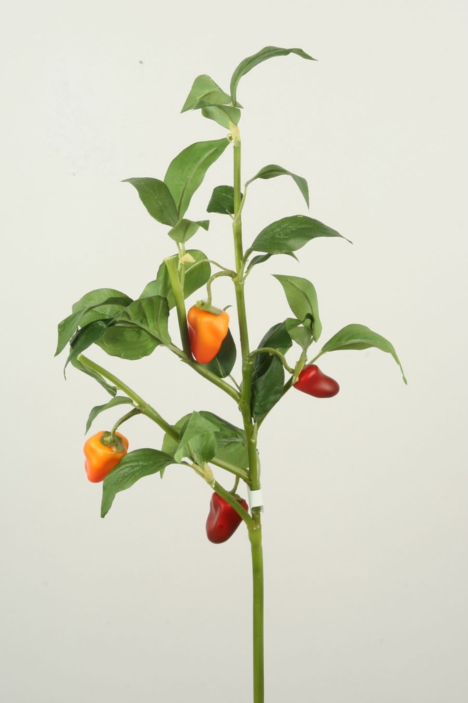 pepper 