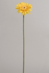 [9142-1] gerbera (Alternative 1)