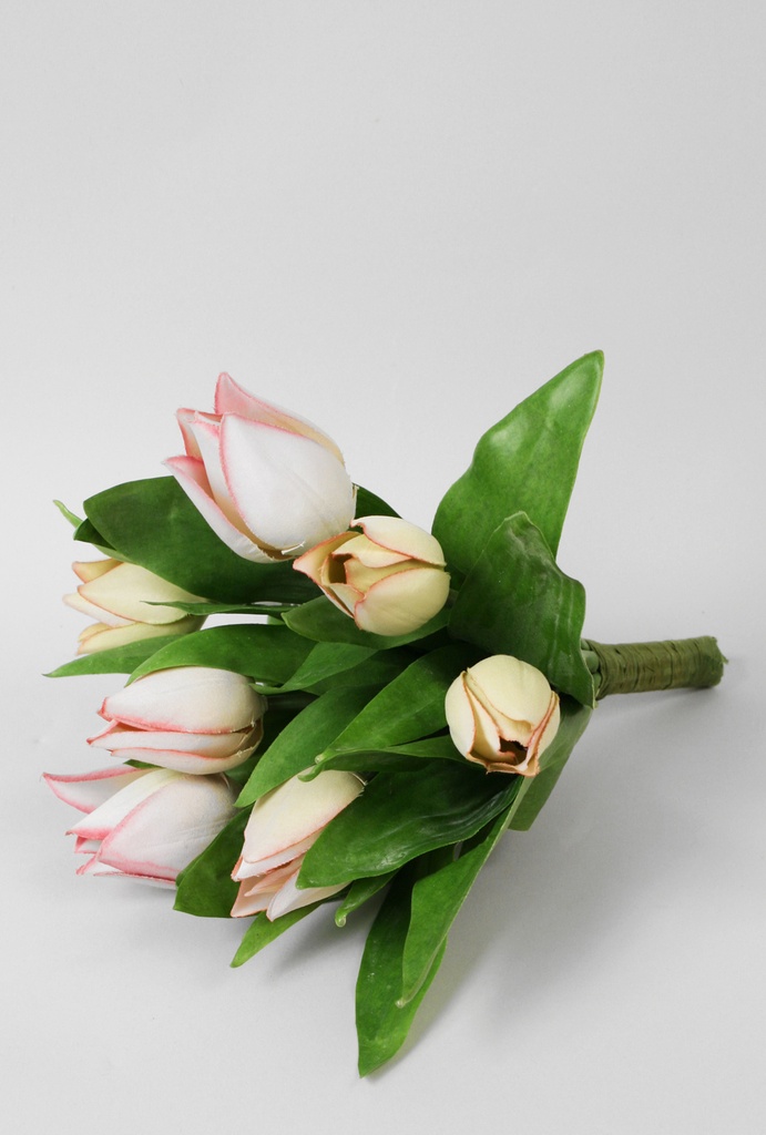 Tulip Bundle