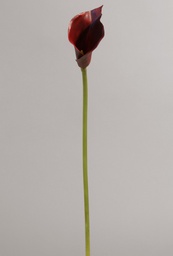 [9135-1] Calla (Alternative 1)