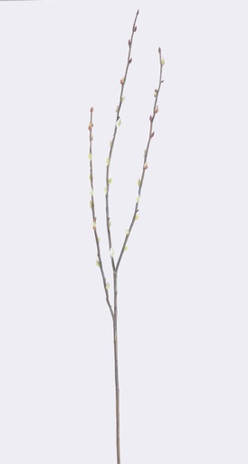 [4097] pussy willow 