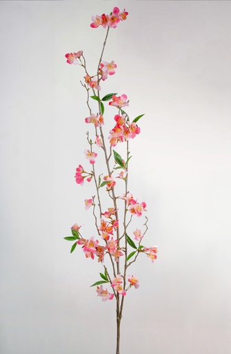 [392a-04] cherry blossom pink 