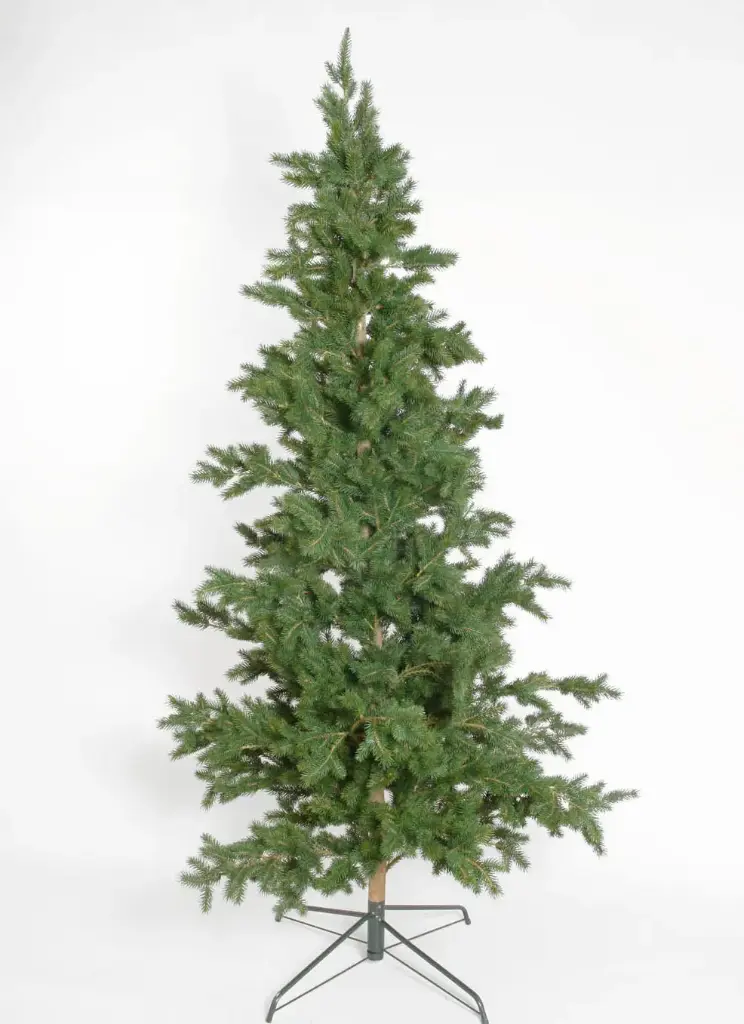 Picea Top Tree 