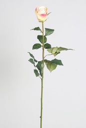 [4009] Rose (Alternative 1)