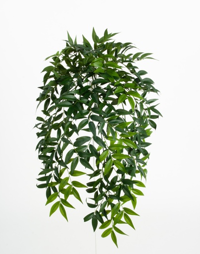 [5971] ruscus hanging 