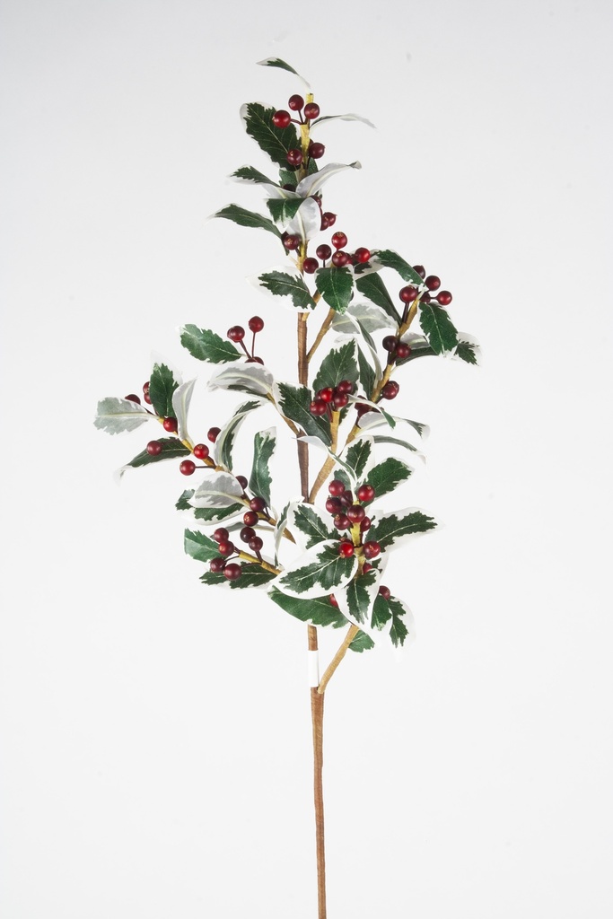 holly spray berries 