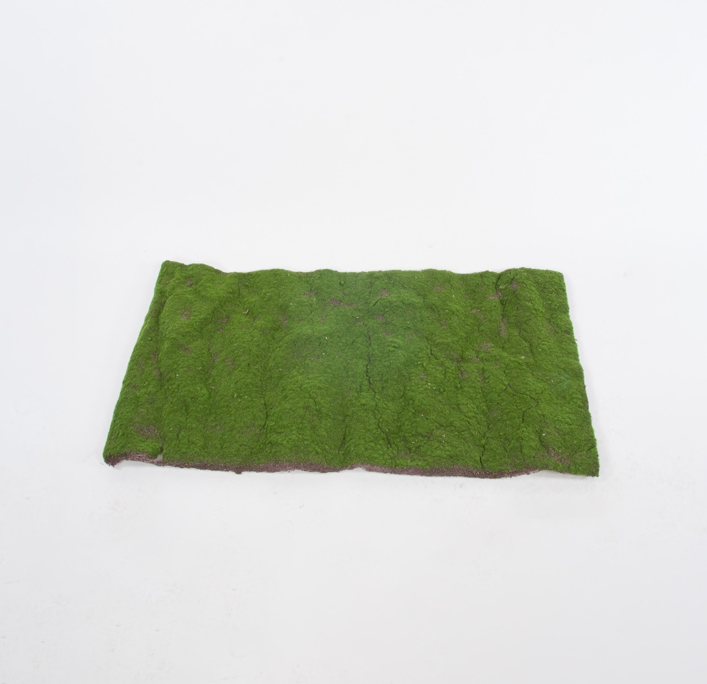 Moss Mat 120x60 cm
