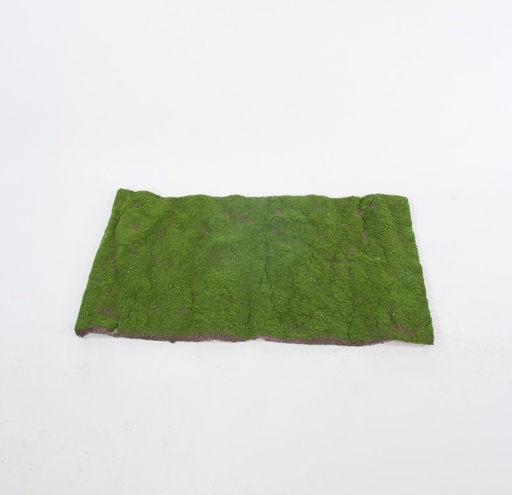 [2391] Moss Mat 120x60 cm