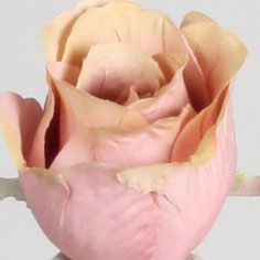 [7152] Rose (Alternative 4)